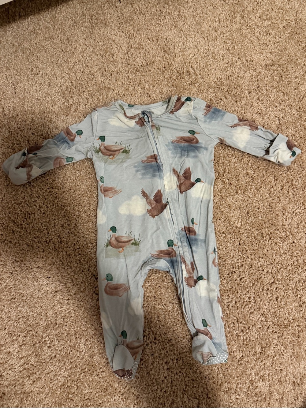 Caden Lane Duck Zippy